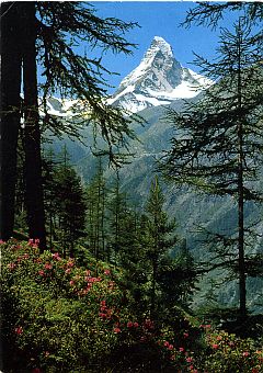 Matterhorn postcard.