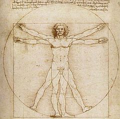 Leonardo da Vinci drawing.