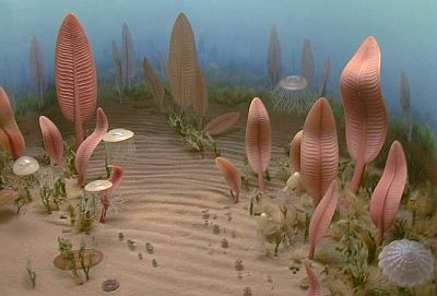 Precambrian organisms.